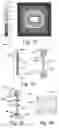 Fig. 07 - Illumination device including wavelength converting element side holding heat sink
