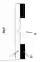 Fig. 10 - Reflector for lighting and back light device for displaying information