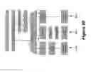 Fig. 20 - Method and Apparatus for Handover of a Packet Switched Communication Session