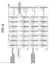 Fig. 09 - Image encoding method and image decoding method, image encoder and image decoder, and image encoded bit stream and recording medium