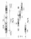 Fig. 09 - Method and apparatus for data transmission