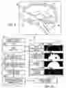 Fig. 05 - Method for identification of anatomical landmarks