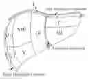 Fig. 01 - Apparatus and methods of compensating for organ deformation, registration of internal structures to images, and applications of same
