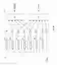Fig. 06 - METHOD AND SYSTEM FOR DIGITAL IMAGE CONTOUR REMOVAL (DCR)