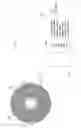 Fig. 02 - CONTENT PRESERVATION