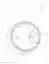 Fig. 08 - Radial Swivel Motor and Process for Manufacturing Same