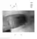 Fig. 08 - Algae supplement and treatment method