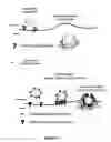 Fig. 06 - Bead based receptor biology