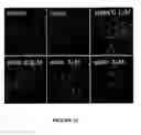 Fig. 53 - Bead based receptor biology