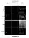 Fig. 71 - Bead based receptor biology