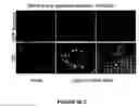 Fig. 72 - Bead based receptor biology
