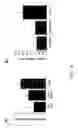 Fig. 06 - Methods for treating inflammation by disrupting MCH-mediated signaling
