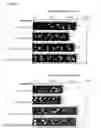 Fig. 16 - Activation and inhibition of the immune system