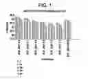 Fig. 02 - Stable polypeptide formulations