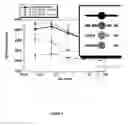 Fig. 04 - Conditioned Cell Immunization