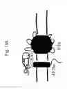 Fig. 239 - Anti-TAT188 antibodies