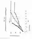 Fig. 247 - Anti-TAT188 antibodies