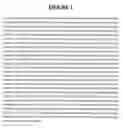 Fig. 02 - Gene disruptions, compositions and methods relating thereto