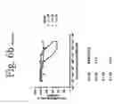 Fig. 08 - Antibodies directed to HER-3 and uses thereof