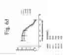Fig. 10 - Antibodies directed to HER-3 and uses thereof