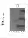Fig. 16 - Antibodies directed to HER-3 and uses thereof