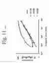 Fig. 17 - Antibodies directed to HER-3 and uses thereof