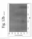 Fig. 19 - Antibodies directed to HER-3 and uses thereof