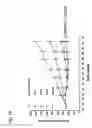 Fig. 33 - Antibodies directed to HER-3 and uses thereof