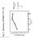 Fig. 03 - Methods to bypass CD4+ cells in the induction of an immune response