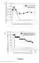 Fig. 02 - Recombinant plasmid and method for expressing hepatitis B viral antigens and virions in vivo