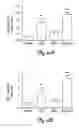 Fig. 07 - Methods and Compositions for Treating Tumors