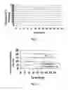 Fig. 02 - Modified release dosage forms of skeletal muscle relaxants