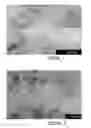 Fig. 07 - METHOD AND APPARATUS FOR PRODUCING SINGLE-WALL CARBON NANOTUBES