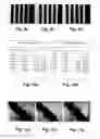 Fig. 07 - Printing Paper and a Method for the Production Thereof