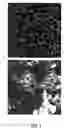 Fig. 02 - Adhesive film having at least two continuous phases