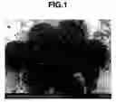 Fig. 02 - Particle With Rough Surface For  Plating Or Vapor Deposition