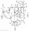 Fig. 02 - Liquid Developer and Image Forming Apparatus