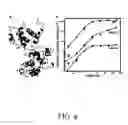 Fig. 07 - Methods and compositions relating to anthrax pathogenesis