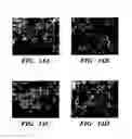 Fig. 20 - Combinatorial rosamine library and uses thereof