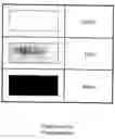 Fig. 01 - Rapid method of detection and enumeration of sulfide-producing bacteria in food products