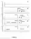 Fig. 07 - Biosynthesis of beta-cryptoxanthin in microbial hosts using an Arabidopsis thaliana beta-carotene hydroxylase gene