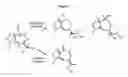 Fig. 08 - Plant enzymes for bioconversion