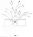 Fig. 02 - Microinjection devices and methods of use