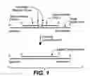 Fig. 02 - Detection of nucleic acid targets using chemically reactive oligonucleotide probes