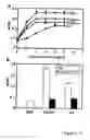 Fig. 04 - Unique Integrin Binding Site in Connective Tissue Growth Factor