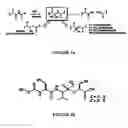 Fig. 04 - SELECTIVE INHIBITION OF MATRIX METALLOPROTEINASES