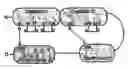 Fig. 01 - Endogenous peptide and active subfragments thereof
