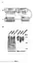 Fig. 02 - Endogenous peptide and active subfragments thereof
