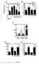 Fig. 08 - Endogenous peptide and active subfragments thereof