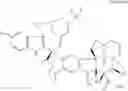 Fig. 40 - VINORELBINE DERIVATIVES